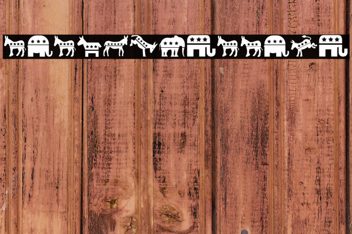 Elections Regular Example 3