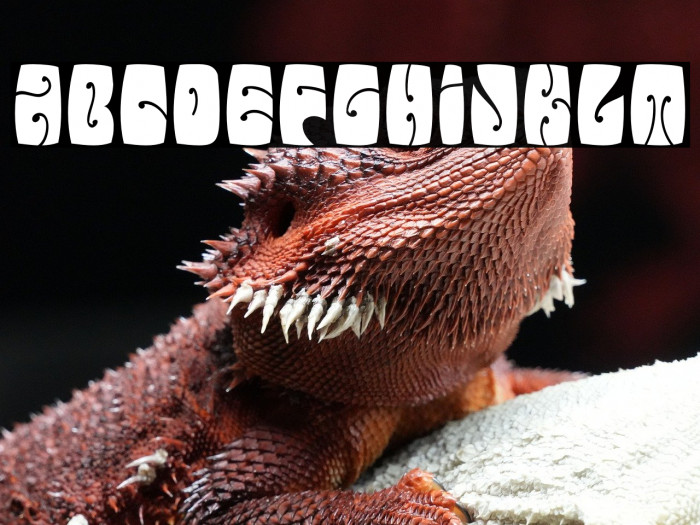 ElectorateBoogaloo-Regular Example 1