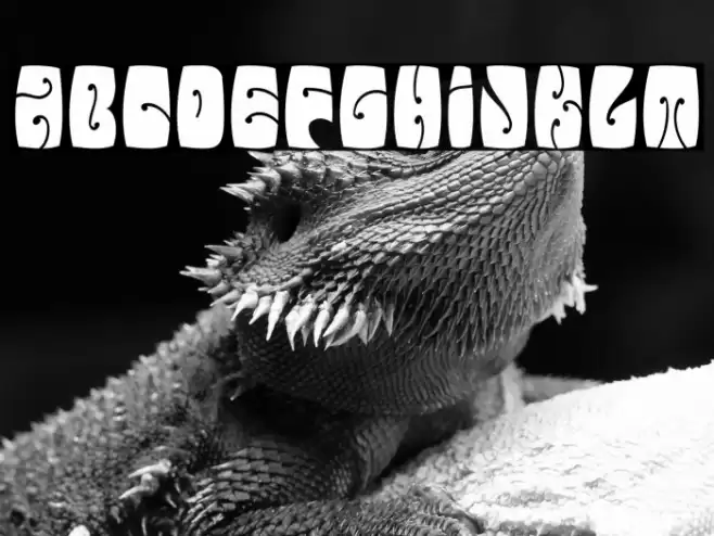 ElectorateBoogaloo-Regular Font examples