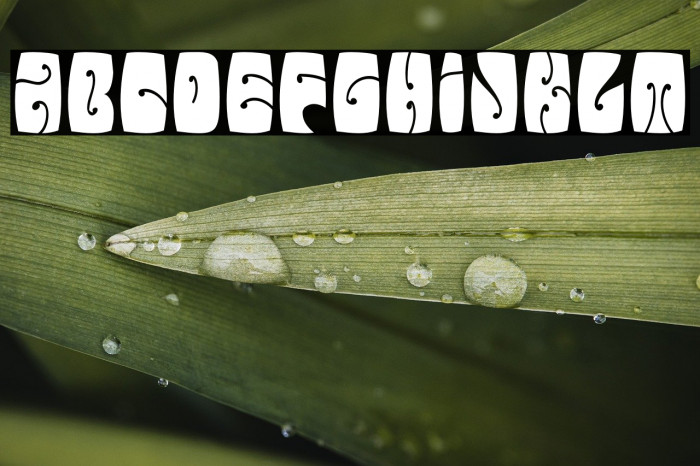 ElectorateBoogaloo-Regular Example 2