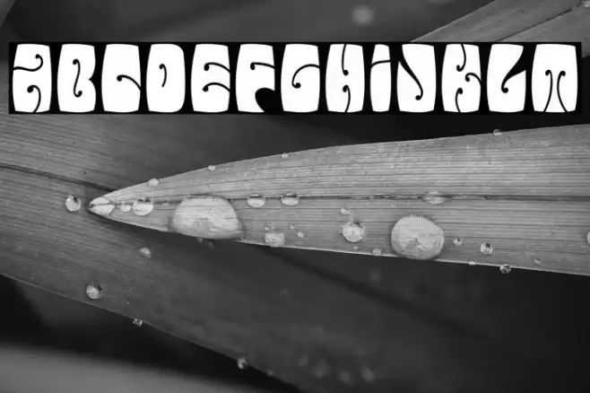 ElectorateBoogaloo-Regular Font examples