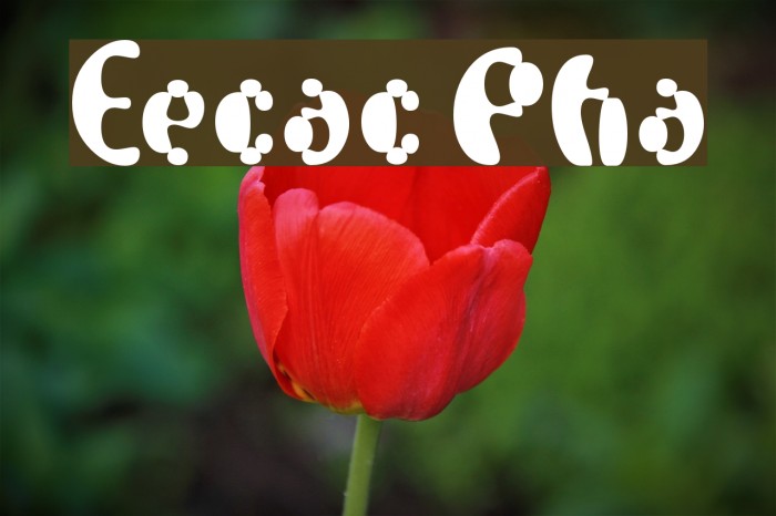 Electrack Phat Polices examples