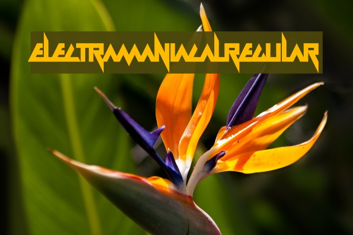 Electramaniacal Regular Example 1