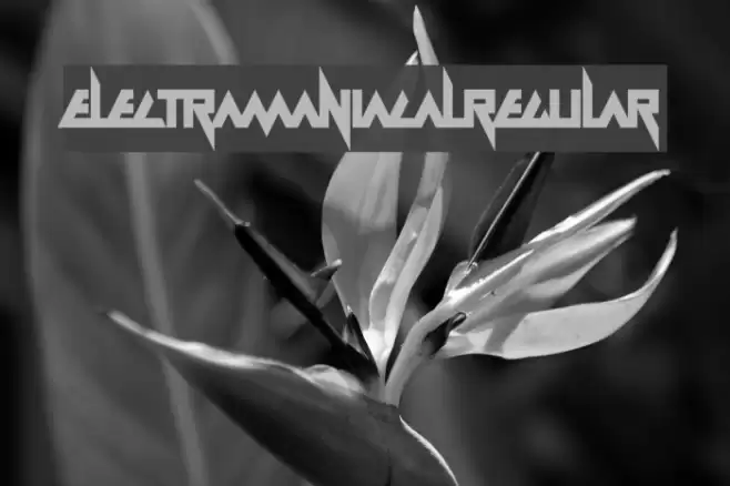 Electramaniacal Regular Font examples