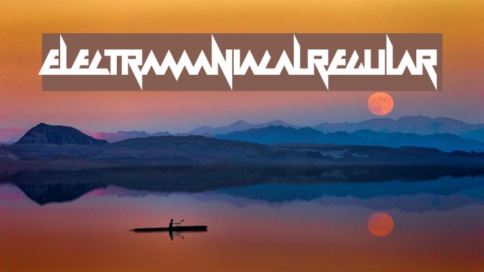 Electramaniacal Regular Example 2