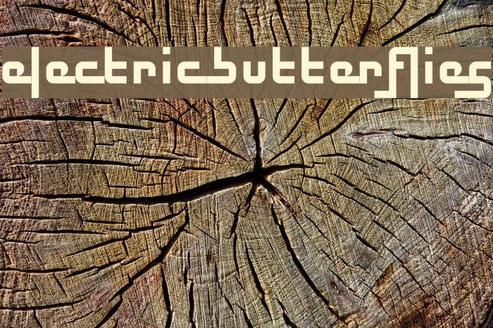 Electric Butterflies Font examples