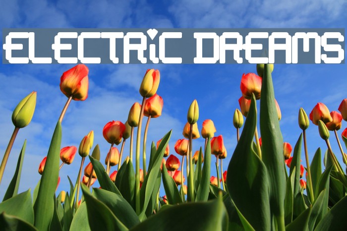 Electric Dreams Font examples