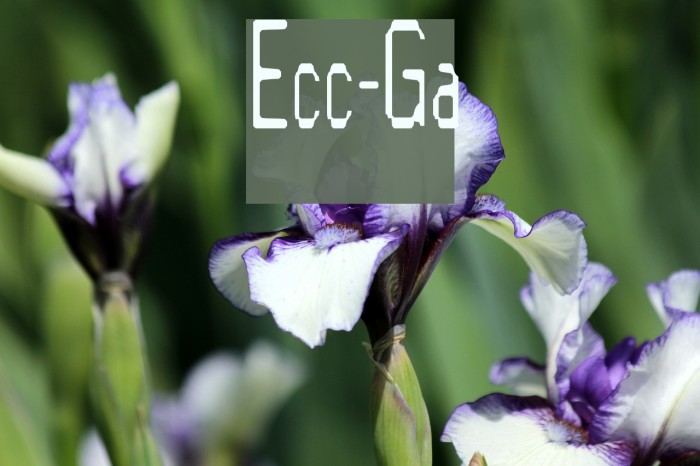 Electric-Goat フォント examples