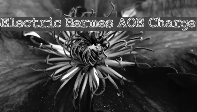 Electric Hermes AOE Charge Schriftart examples