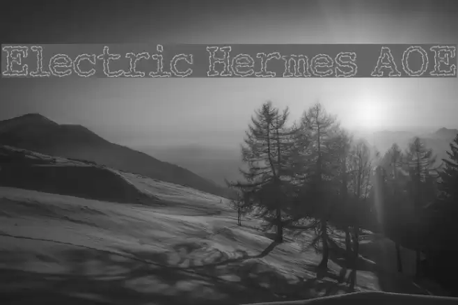 Electric Hermes AOE Polices examples