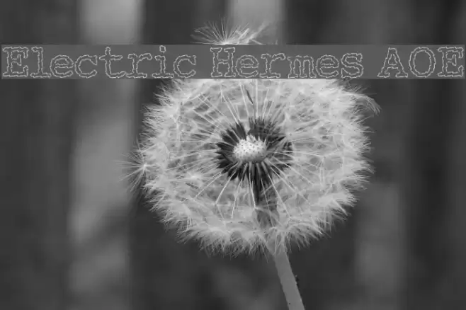 Electric Hermes AOE Polices examples