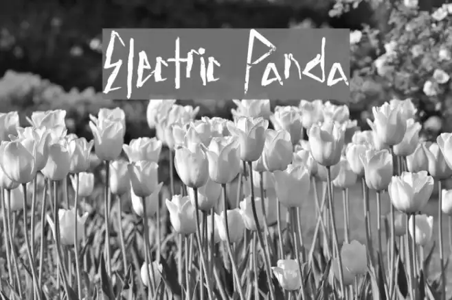Electric Panda Example 1