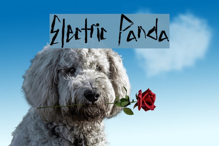 Electric Panda Font examples