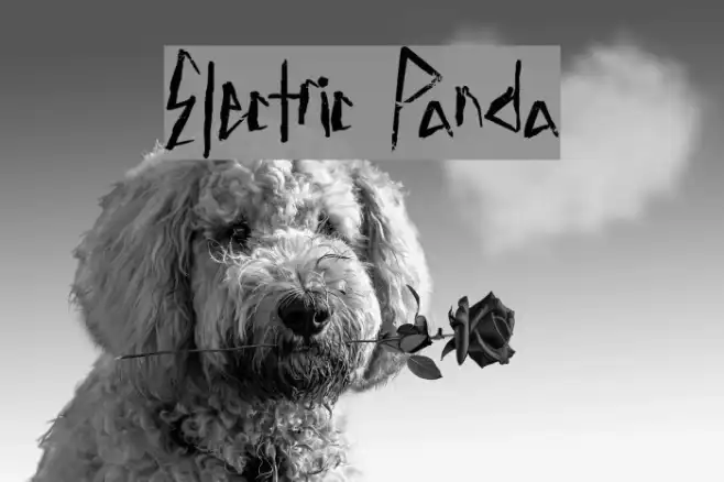 Electric Panda Example 2
