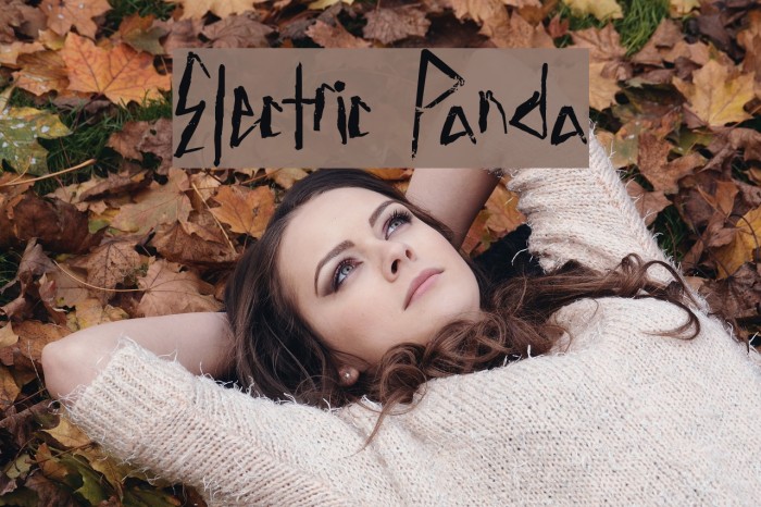 Electric Panda Font examples