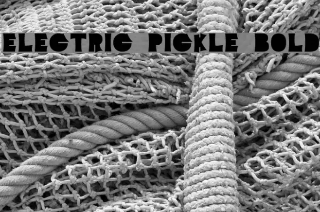 Electric Pickle Bold Font examples