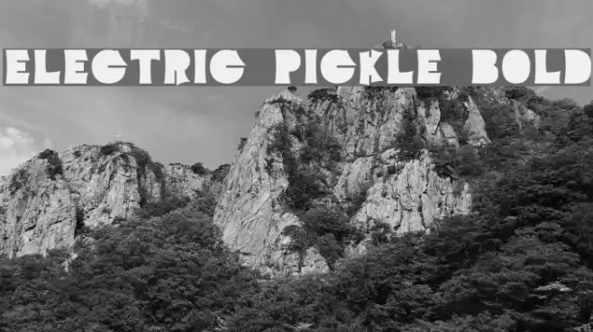 Electric Pickle Bold Font examples