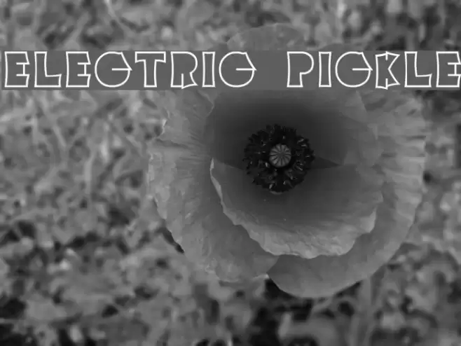 Electric Pickle Font examples