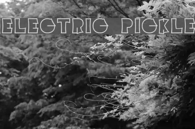 Electric Pickle Font examples