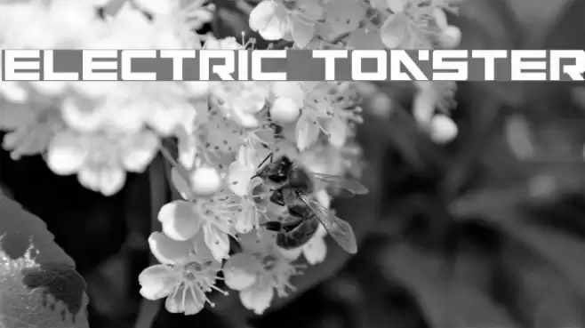 Electric Toaster Font examples