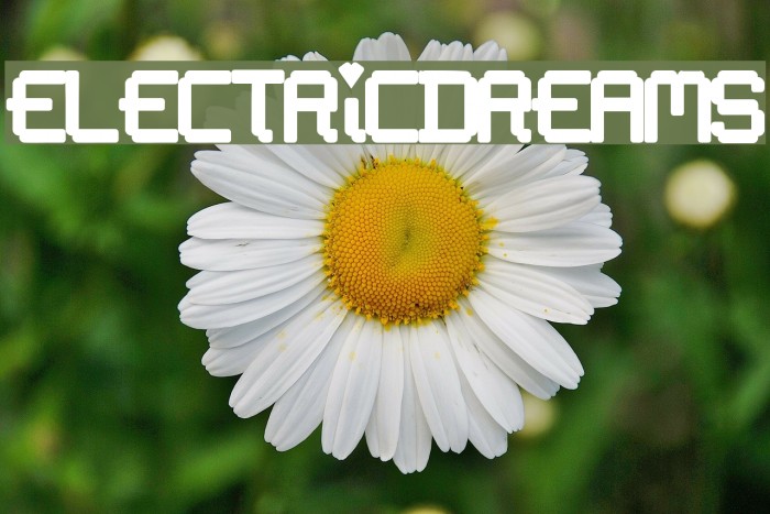 ElectricDreams Example 1