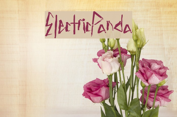 ElectricPanda Font examples