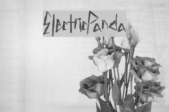 ElectricPanda Example 1