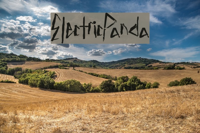 ElectricPanda Font examples