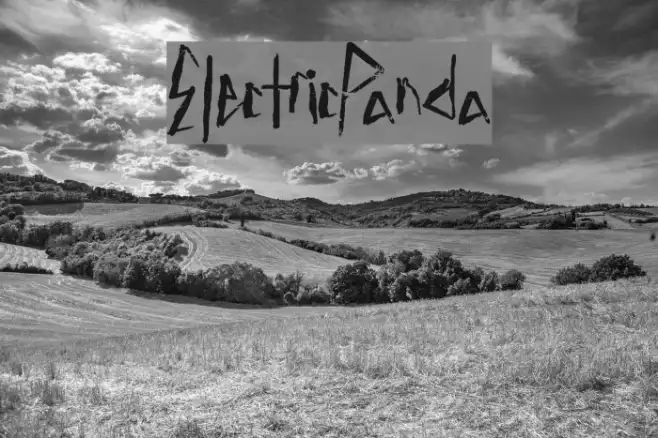 ElectricPanda Example 3