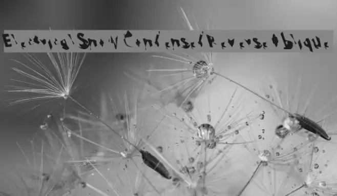 Electrical Snow Condensed Reverse Oblique Font examples