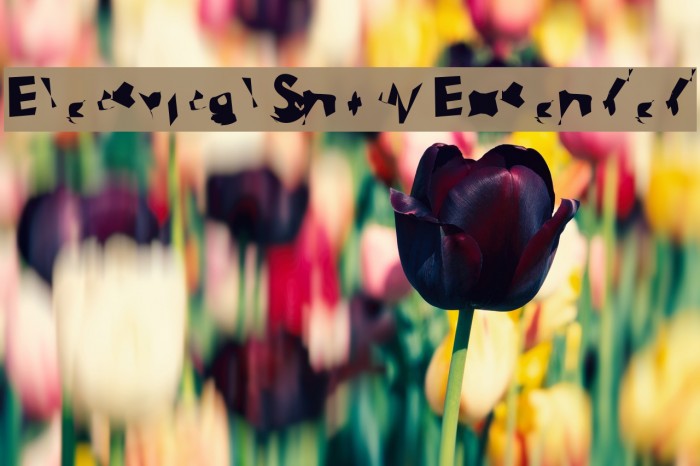 Electrical Snow Extended Font examples