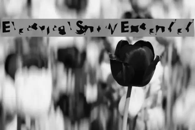Electrical Snow Extended Example 1