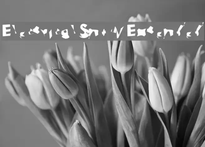 Electrical Snow Extended Example 2