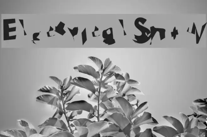 Electrical Snow Example 1