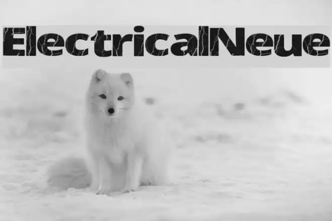 ElectricalNeue Font examples