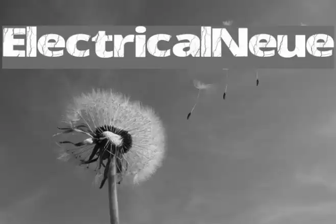 ElectricalNeue Font examples