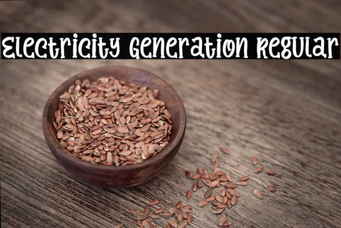 Electricity Generation Regular Example 3