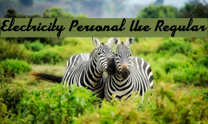 Electricity Personal Use Regular Example 3