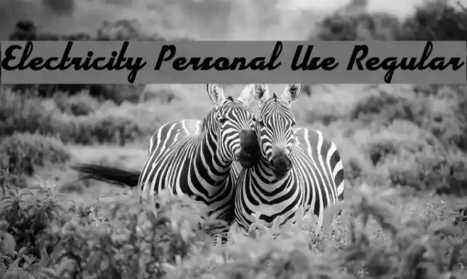 Electricity Personal Use Regular Font examples
