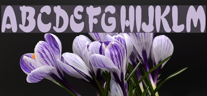 Electrik Cn Font examples