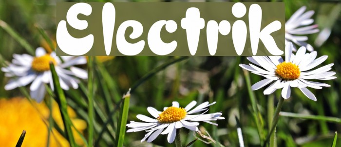Electrik Font examples