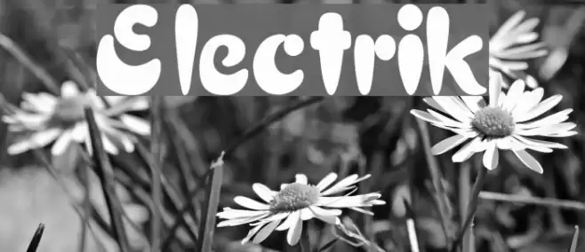 Electrik Schriftart examples