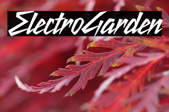 Electro Garden Example 1