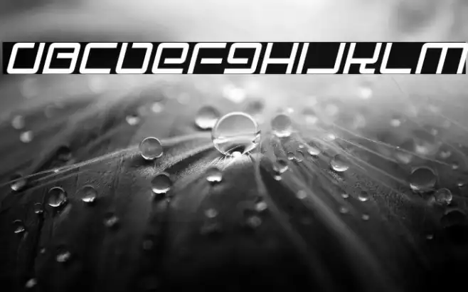 Electro Party Italic Example 1