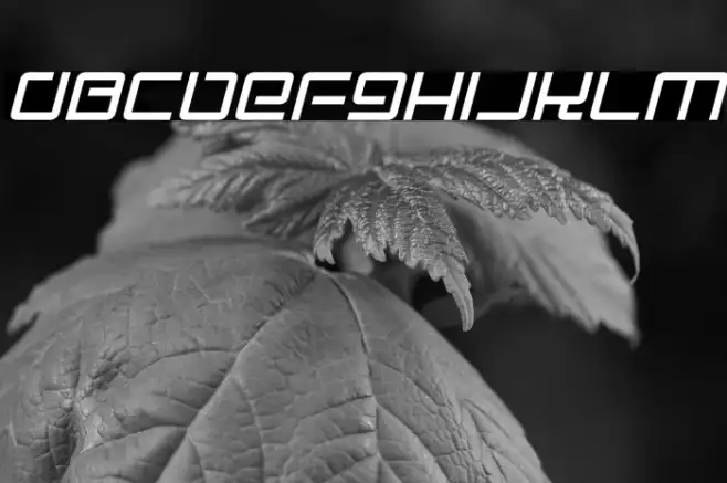 Electro Party Italic Example 2