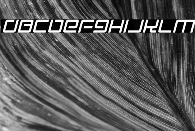 Electro Party Italic Example 3