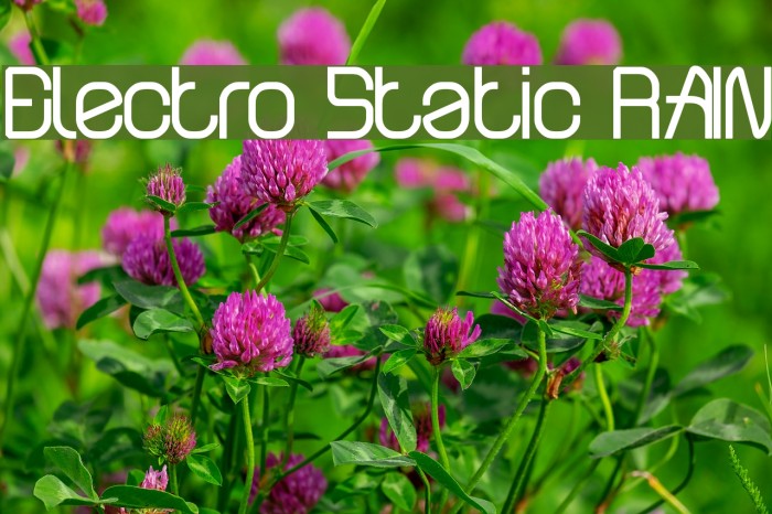 Electro Static RAIN Example 3