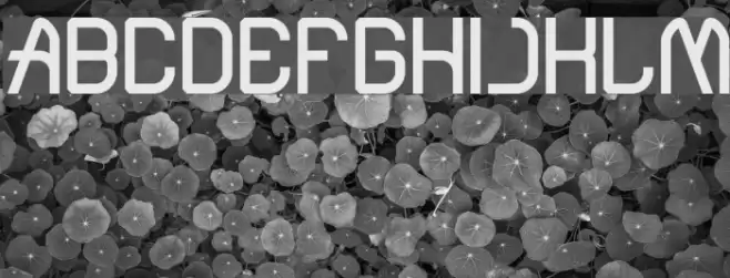 Electro Static Rain Bold Font examples