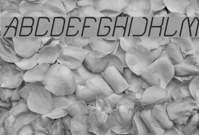 Electro Static Rain-Light Italic Font examples