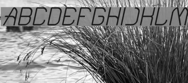 Electro Static Rain-Light Italic Font examples